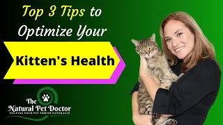 Top 3 Tips To Optimize Your Kitten's Health with Dr. Katie Woodley - The Natural Pet Doctor