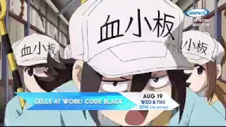 Animax Asia- August 2021 Highlights.