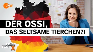 Wird die Wahl im Osten entschieden? | Inside PolitiX