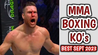 MMA & Boxing Knockouts, Best Of September 2023 | Part 1