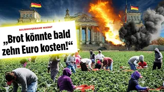 Globale Nahrungsmittelkrise: Krieg, Schulden, Mangel, Hunger