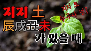 사주에 진술축미(고지/묘지)가 있다?! 가장 먼저 확인해야 하는 것! (feat.개고/입묘)