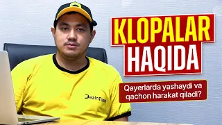 Klopalar qachon harakatlanadi va qyerlarda yashaydi?