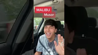 Bek vlogs malibuni musir dedi