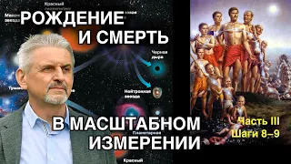 Сверхновая реальность. Шаги 8-9. Что общего в жизни человека и звезды?