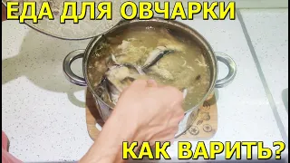 Как варить еду для овчарки? Рецепт!