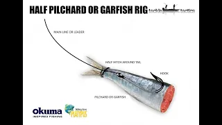 #31  Half Pilchard or Garfish