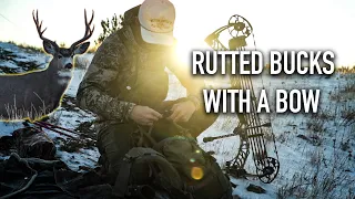 LATE SEASON MULE DEER HUNT | BOWHUNTING