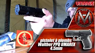 Magnifique Pistolet Walther PPQ UMAREX 4.5mm à plombs ! j'ai adoré