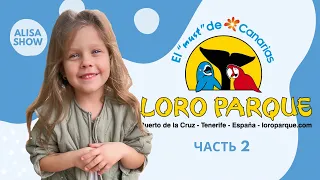 Loro parque часть 2| #КОСАТКИ | VLOG #Тенерифе | парк попугаев #loroparque