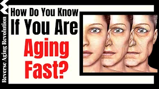 How Do You Know If You Are AGING FAST?  |  Dr Morgan Levine Interview Clips