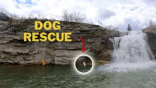 Dog Rescue :  Saving a dog from Freezing Waters #dogrescue