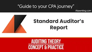 Standard Audit Report