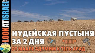 Два дня по Иудейской пустыне на джипе - Маале Адумим к Тель Арад | יומיים במדבר ביהודה בשטח