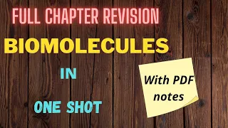 Biomolecules OneShot | Complete Revision for Class 12 with notes | Sourabh Raina