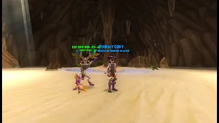 Pirate101 The new best witchdoctor companion! Eep Opp Ork Ah-Ah is buffed!