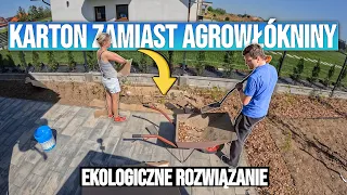 KARTON ZAMIAST AGROWŁÓKNINY | JAKĄ KOSĘ SPALINOWĄ? | RABATA | ŻYWOPŁOT I ZRĘBKA!