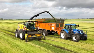 Gras hakselen - Chopping grass - Gras häckseln - New holland - Dezeure - Caterpillar Dewispelaere -