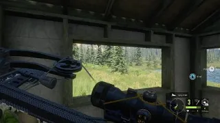 theHunter: Call of the Wild Yukon Valley Story Close Moose Blooper