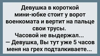 Девушка Показала Часовому Трусы! Сборник Свежих Анекдотов! Юмор!