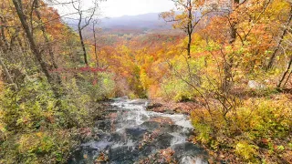 Amicalola Falls in all 4 seasons