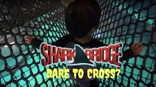 Adventure Aquarium Shark Bridge