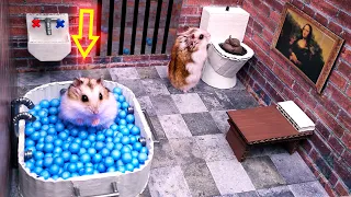 🐹Hamster escapes from luxury prison maze