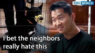 I bet the neighbors really hate this [Dogs are incredible : EP.134-4] | KBS WORLD TV 220809