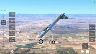 5 Last Words From Infinite Flight Pilots