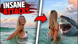 The Most INSANE Shark Attacks MARATHON!