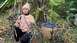 Harvesting palm fruits to sell at the market - Processing and cooking