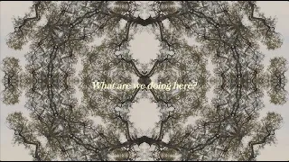Hattie Whitehead - Alive (Lyric Video)