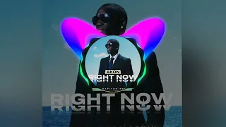 Akon - Right Now (DJ Safiter Remix) 2022