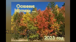 Осенний Ноябрьск 2023🔥❤‍🔥Съемка - привет от подруги