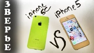 iPhone 5C против iPhone 5