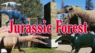 Jurassic  Forest  Gibbons  Alberta #Jurassic ForestGibbons #ExploreEdmonton