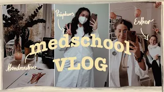 MEDSCHOOL VLOG :) | ABENDROUTINE nach der Uni & LERNT ANATOMIE mit mir und @estherlioba 🧠