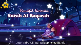 Surah Al Baqarah Beautiful Recitation | Heart Soothing | Relaxation | Baby Deep Sleep, Stress Relief