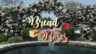 vietsub | lyrics | bread and roses | Bronwen Lewis ver.