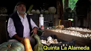 296 Quinta La Alameda - Estancias y Tradiciones