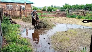 Затопило дождями/Снова чиним дробилку/Капусту кто-то съел