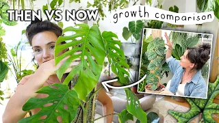 Side-by-Side Growth Comparisons 🌱 How My Plants Are Changing + Evolving | What's Working?