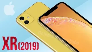 iPhone XR (2019) - First Look!