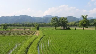 Tour of Sasayama, Hyogo - sceneries of local town in west Japan　"篠山"