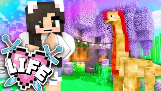 💙Farms, Dinos, + Death? X Life Ep.11