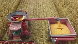 Healthy to Harvest High Yield Corn Program