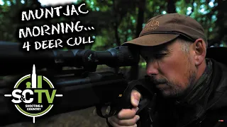 S&C TV | Deer management with Chris Rogers 11 | Expert UK muntjac cull (4 in 1 morning)