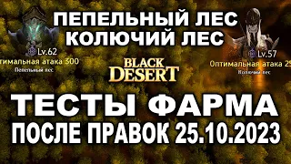 ТЕСТЫ ФАРМА в БДО. Колючий и Пепельный лес после правок 25.10.23 в БДО (BDO - Black Desert)