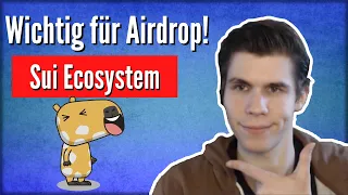 Wie du dich für den SUI Airdrop qualifizierst! Access Program erklärt