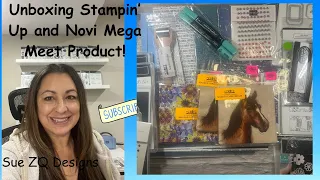 Huge Haul of Stampin' Up! and Novi, Michigan Mega Meet product!